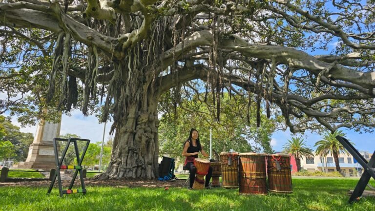 Djembe Alchemy: Creating Change, Community, and Connection through African Drumming, Rhythm, and Dance
